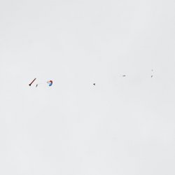 2013 Suche 29062013 Michal